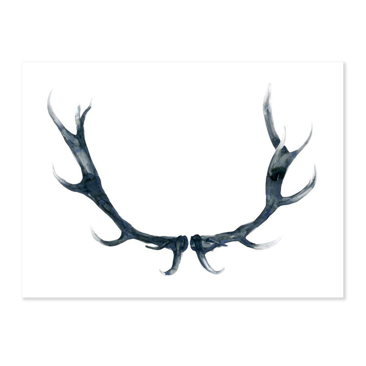 a fine art print illustrating giant antlers in black watercolor on a soft white background