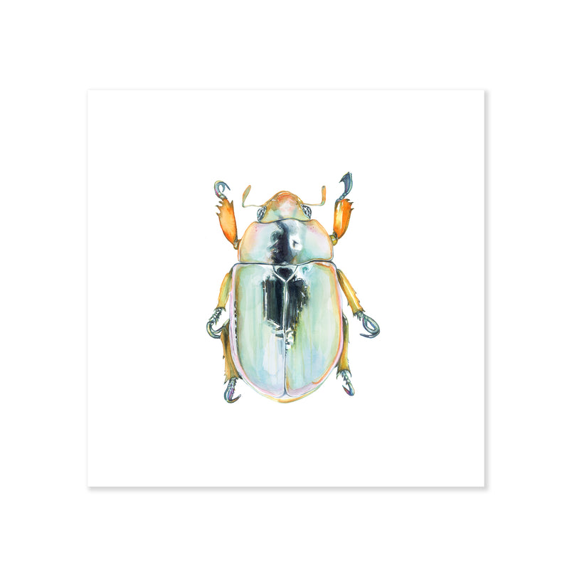 A fine art print illustrating an aerial view of a silver beetle featuring orange hues painted with watercolor on a soft white background