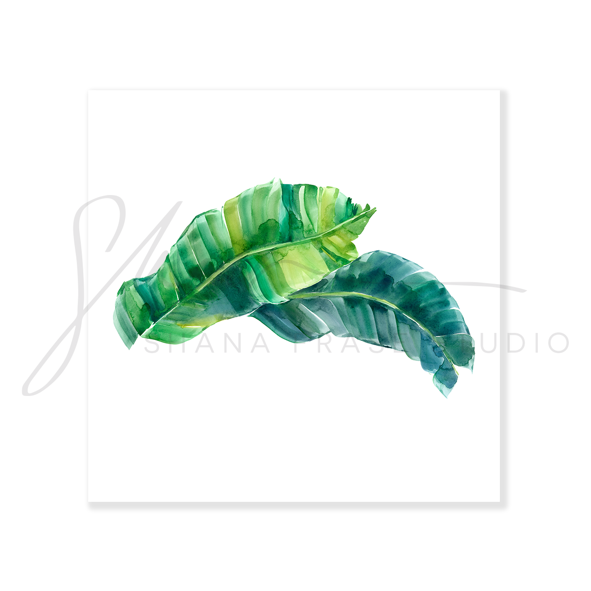 BANANA LEAVES 2