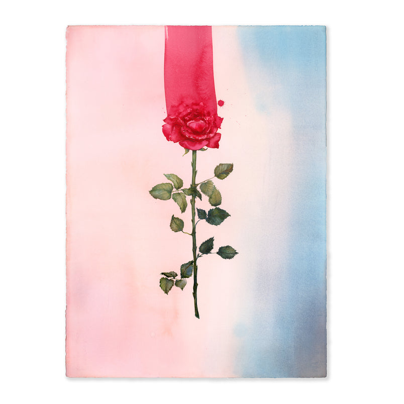 Untitled 716 (Crimson Rose)