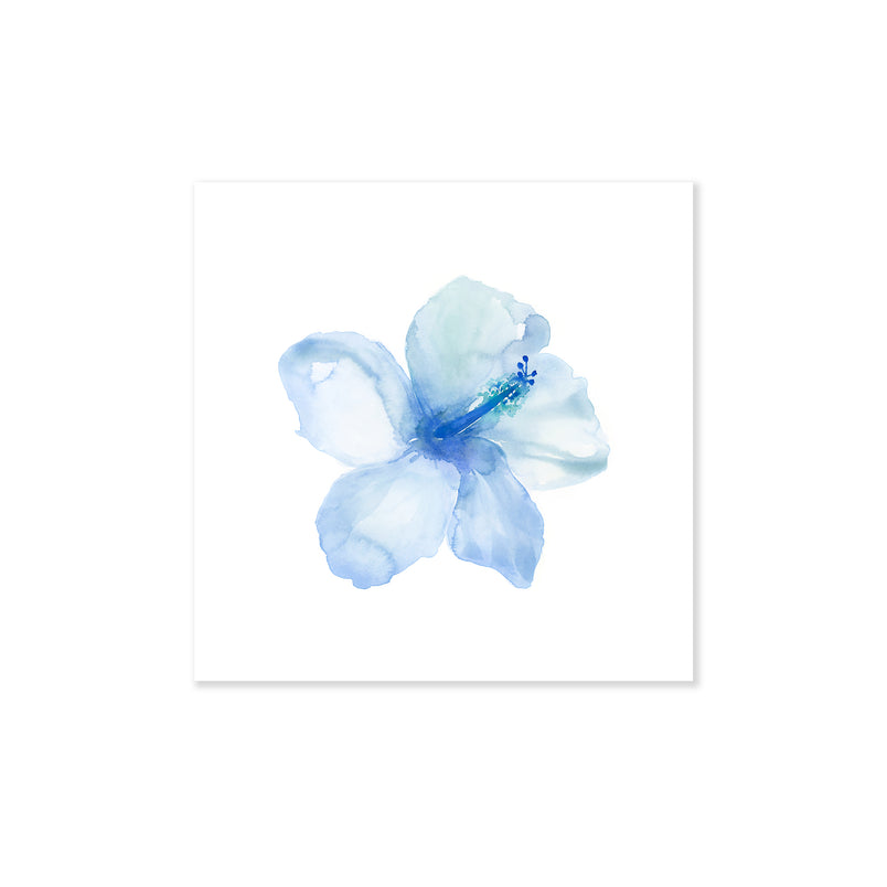 A fine art print illustrating an open face light blue hibiscus flower painted in watercolor on a soft white background
