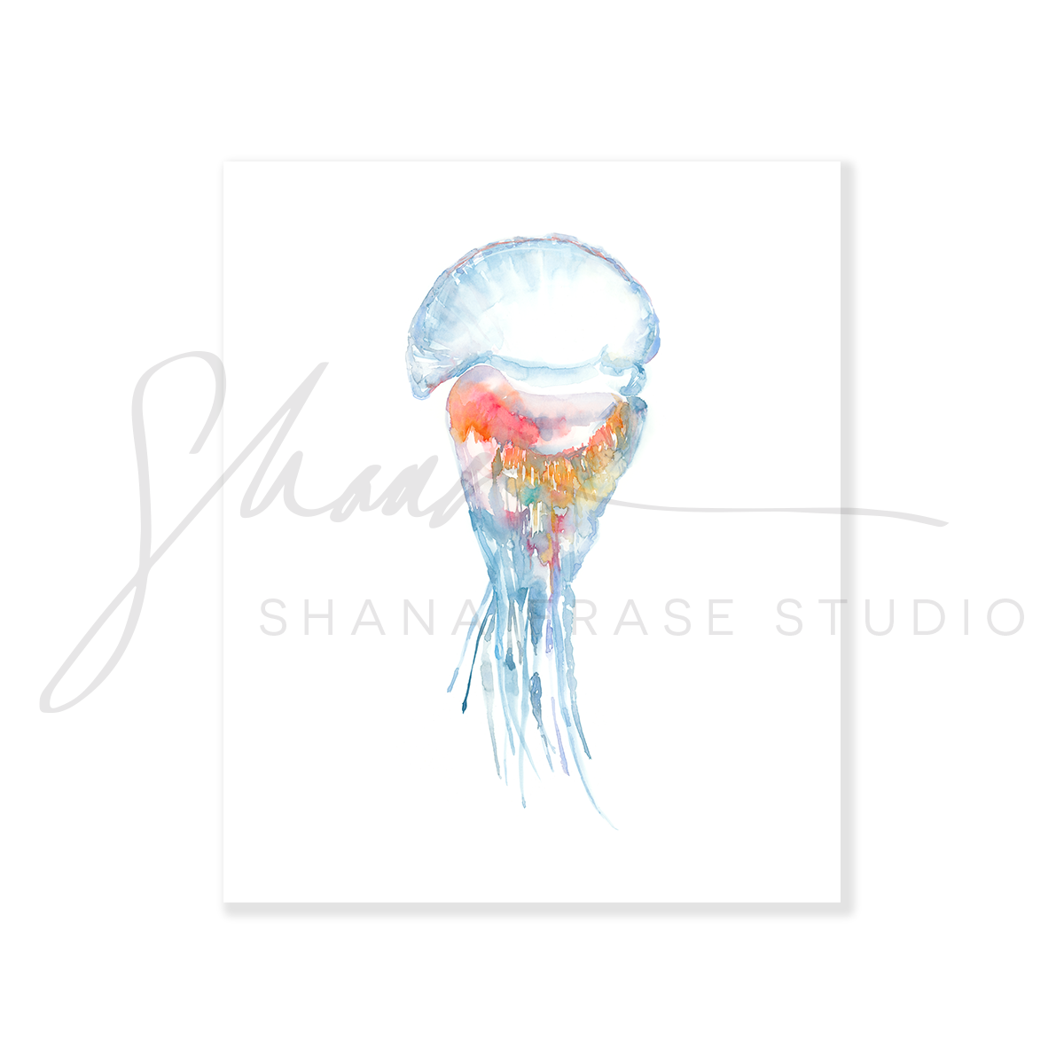 JELLYFISH 2