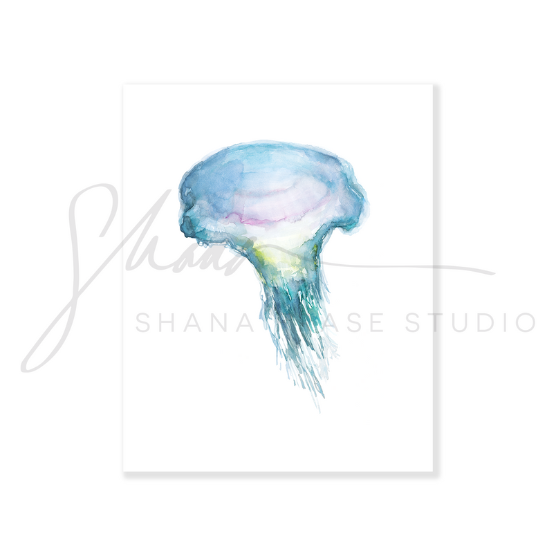 JELLYFISH 1