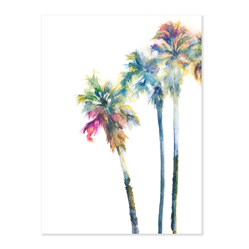 PALM TREES