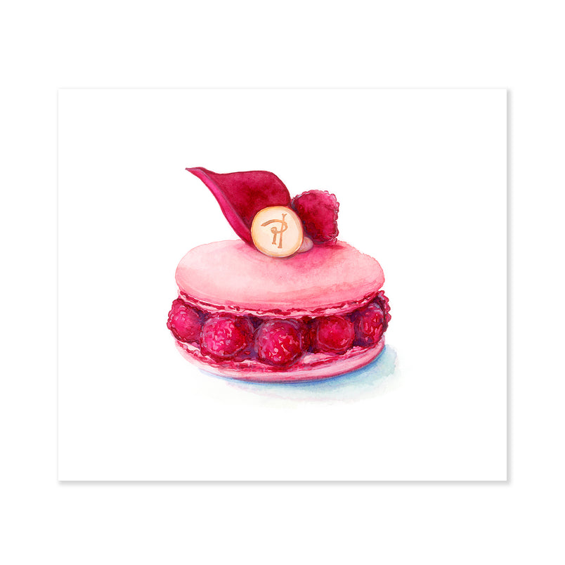 A fine art print illustrating the famous Pierre Herme Isaphan pink macaron painted using watercolors on a soft white background