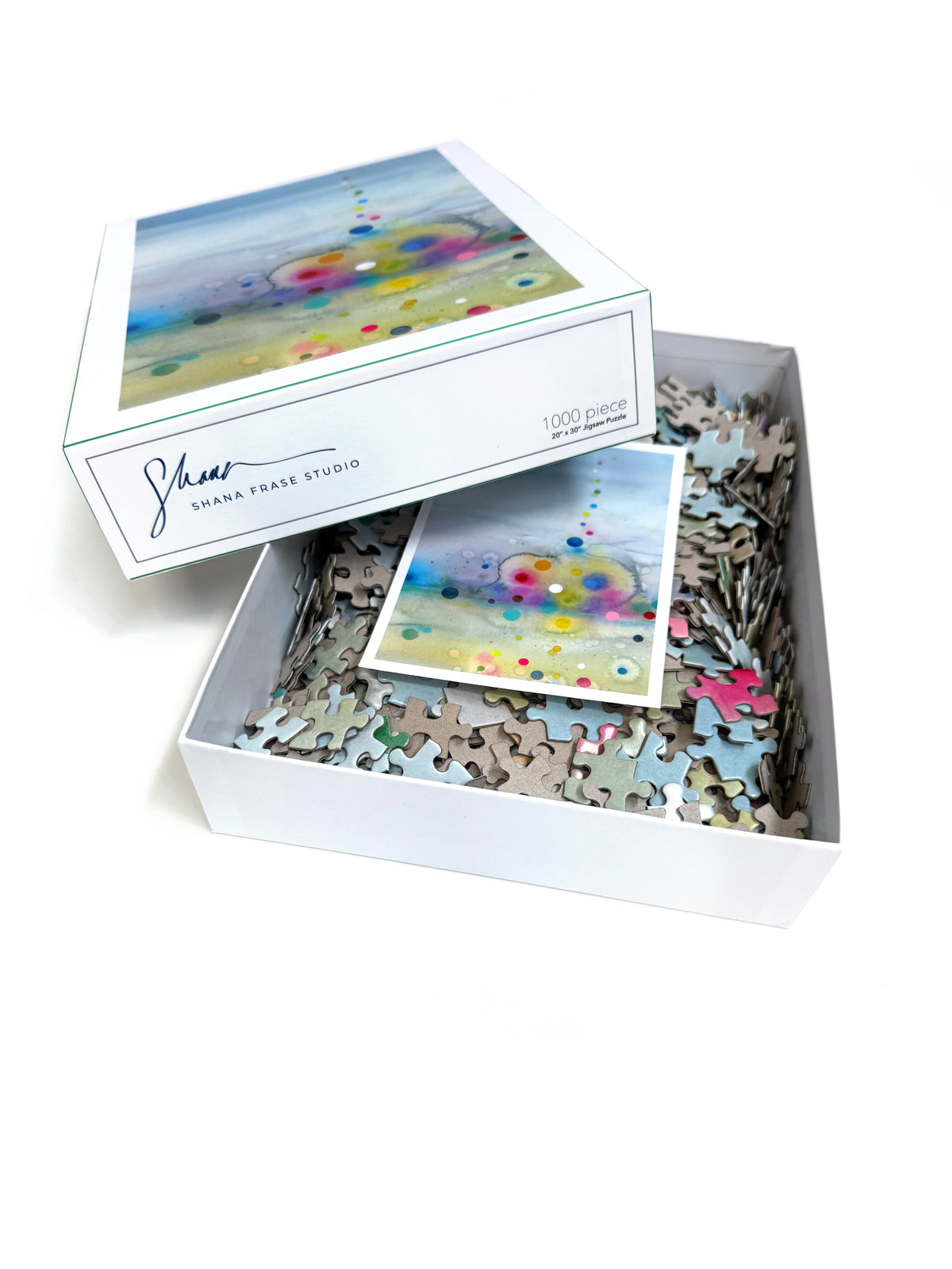 UNTITLED 679 JIGSAW PUZZLE